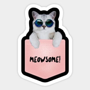 Meowsome! Sticker